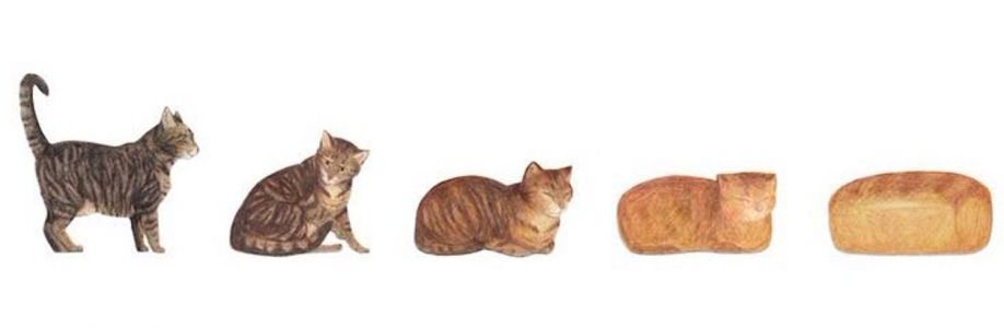 gatos fazendo gatices Cover Image